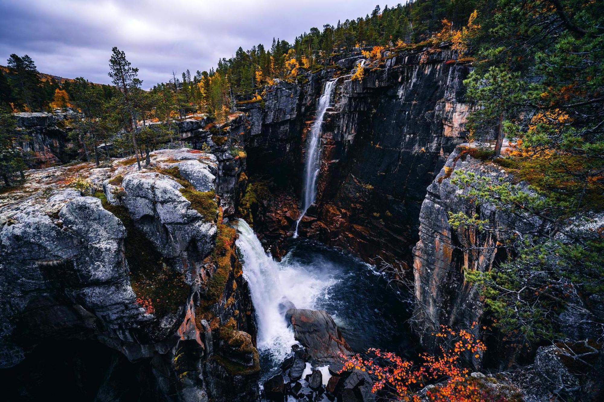Reisa Lodge Storslett Dış mekan fotoğraf