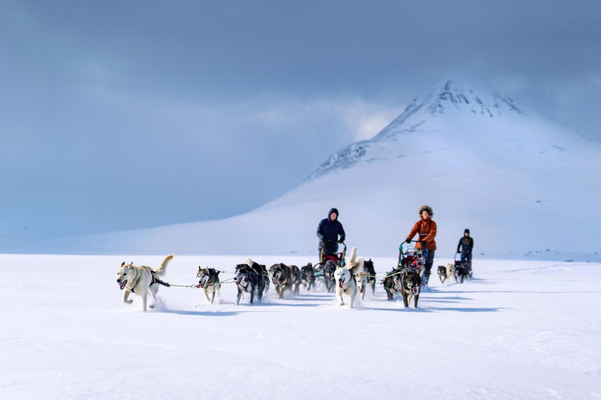 Reisa Lodge Storslett Dış mekan fotoğraf