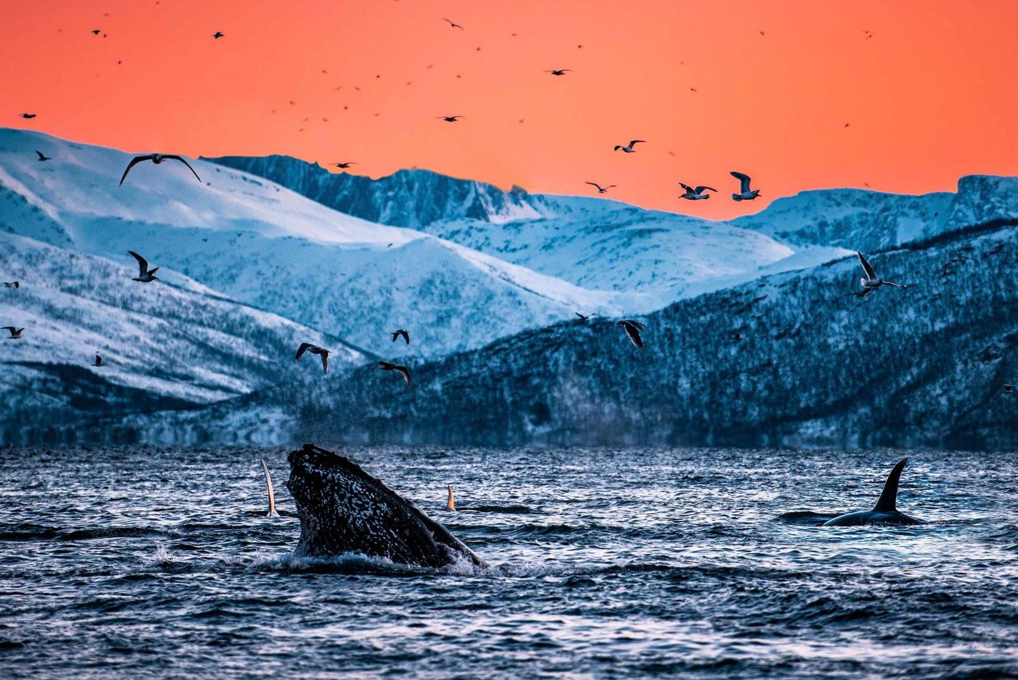 Reisa Lodge Storslett Dış mekan fotoğraf