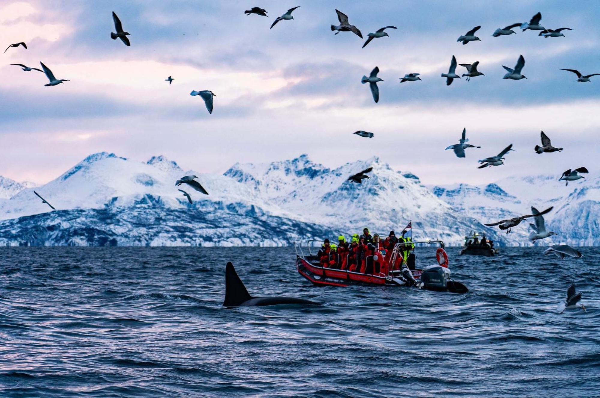Reisa Lodge Storslett Dış mekan fotoğraf