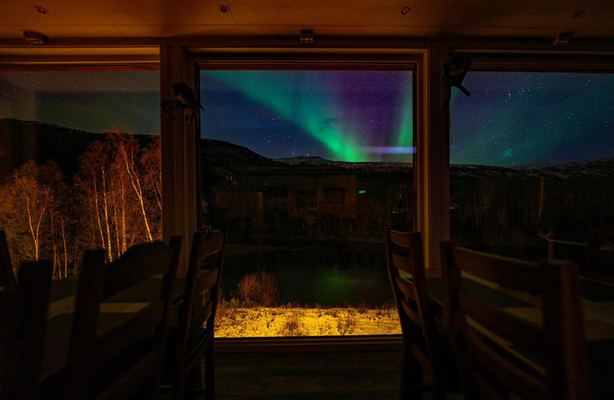Reisa Lodge Storslett Dış mekan fotoğraf