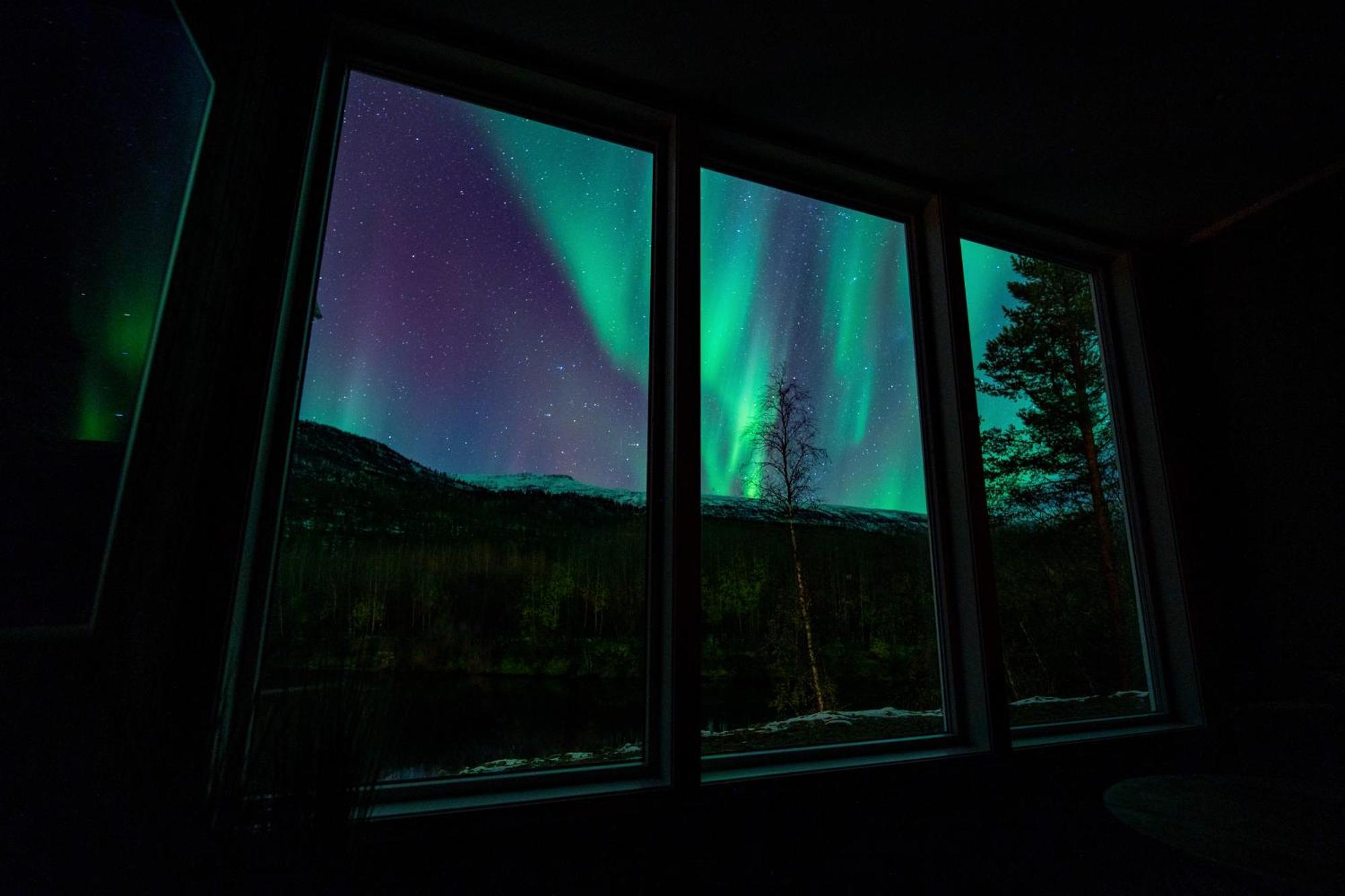 Reisa Lodge Storslett Dış mekan fotoğraf